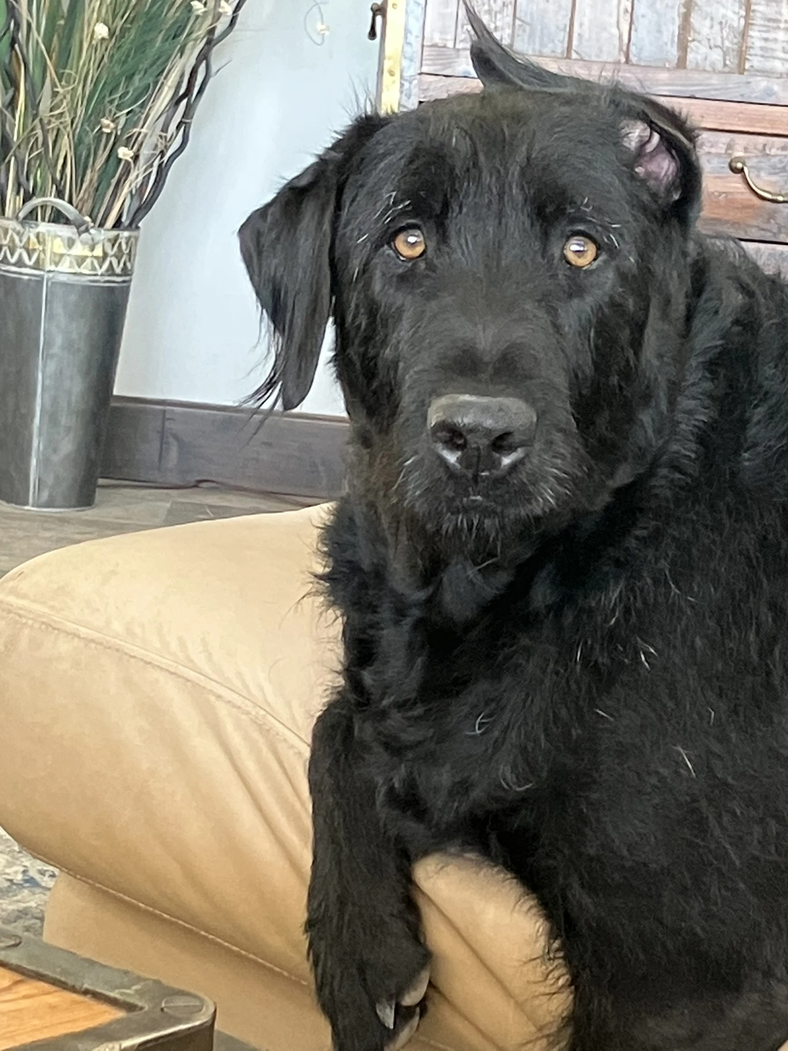 Rufus – Chief People Officer at HRX Professional